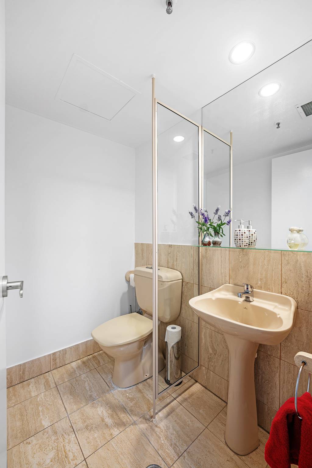 Separate toilet and basin with mirrored wall and display shelf